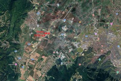 Teren agricol extravilan de 6193 mp, în Sud-Est - 11