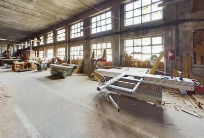 Spațiu comercial, de 1,280 mp, în Șoimoș - 7