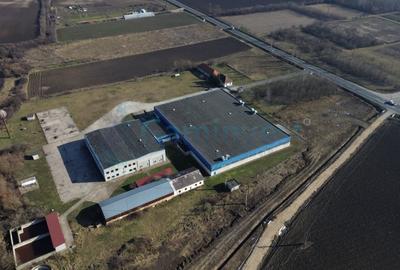 Spațiu industrial, de 6,227 mp, în Homorog - 1