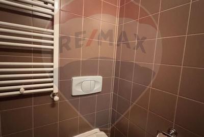 Apartament cu 2 camere decomandat, mobilat în Mihai Bravu - 15