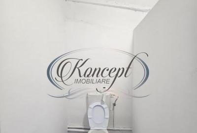 Hala la prima inchiriere, izolata termic, disponibila imedia - 25