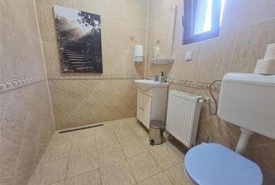 Curte individuala, spatiu pentru activitati copii/birouri,  Racadau, Brasov - 9