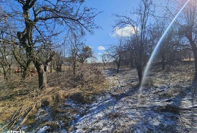 Spațiu comercial, în Gheorghieni - 4