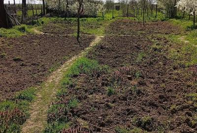 Casă cu 4 camere cu Teren 3210 Mp în Constantinești - 1