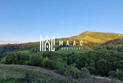 Teren de 117000 mp, în Râmeț - 7