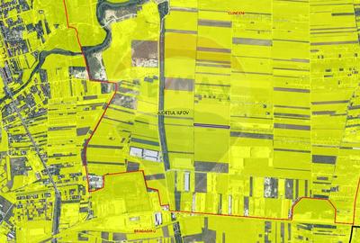 Teren agricol intravilan de 10555 mp, în Clinceni - 8