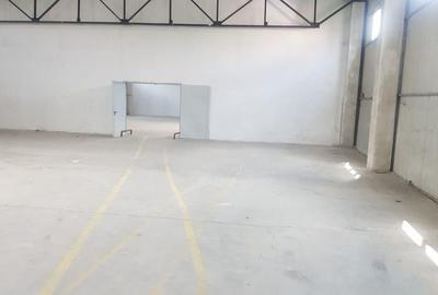 Hala 500 mp Oras Pantelimon - 3