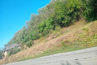 Casă cu 2 camere cu Teren 7000 Mp în Salatiu - 2