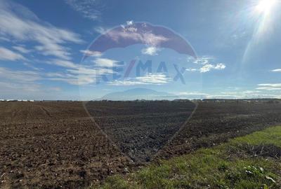 VANZARE Teren intravilan industrial BUFTEA/Strada Milano/... - 7