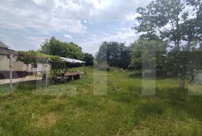 Teren de vanzare, 13390 mp, casa batraneasca demolabila, zona Cervicesti - 2
