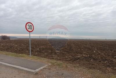 Vanzare teren intravilan parcelat, in Branesti langa - Autostrada A2 - 9