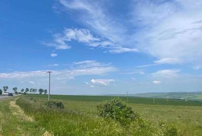 Teren de 10000 mp, în Central - 2