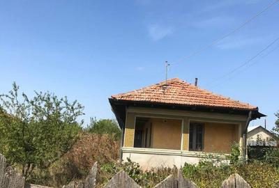 Casă cu 3 camere în Moara Domnească