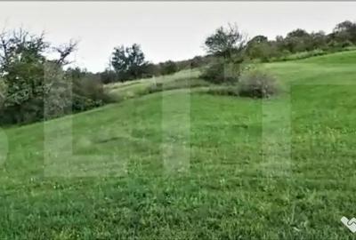 Teren de 4039 mp, în Borhanci - 4