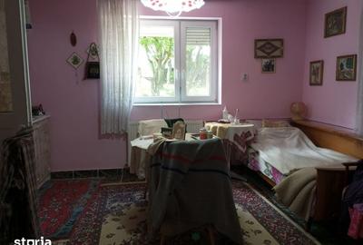 Casă cu 3 camere cu Teren 3320 Mp în Căpușu Mare - 7