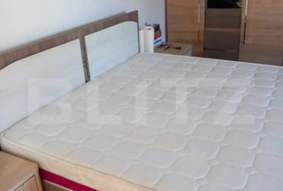 Apartament cu 2 camere semidecomandat, mobilat în Central - 1