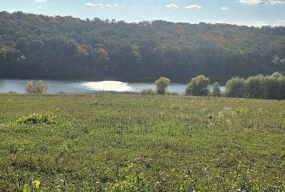 Spațiu comercial, în Central - 1