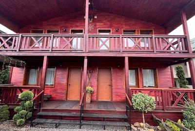 Cabana duplex rustică, 100 m de Pârtia de Ski Cavnic! - 1