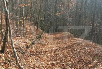 Teren în Central - 3