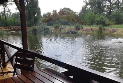 Spațiu comercial, de 1,700 mp, în Obrejița - 8