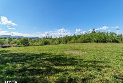 Teren de 5967 mp, în Bran - 14