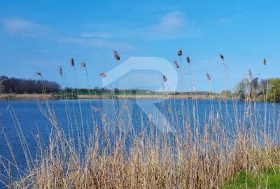 Spațiu comercial, în Săftica - 6
