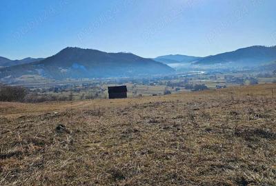 Teren extravilan de vanzare in Bucovina zona Frasin - 1