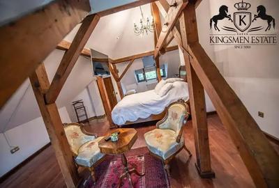 Casă superbă, consolidata si restaurata, Zona Decebal Casă superbă, consolidata si restaurata, Zona Decebal - 2