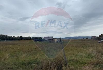 Teren intravilan Bod de vanzare - 4