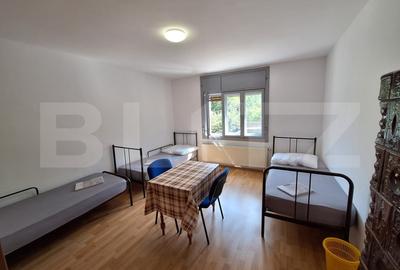Vila mare, curte, 11 camere, 5 bai, mobilata, Cetatii/Timisoara - 6