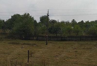 Teren de 4600 mp, în Central - 2