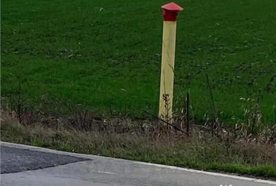 Teren de 60600 mp, în Berceni - 2