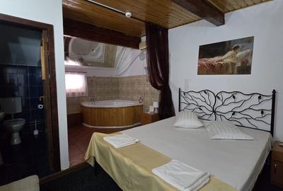 Hotel/Pensiune, de 743 mp, în Domnești - 14