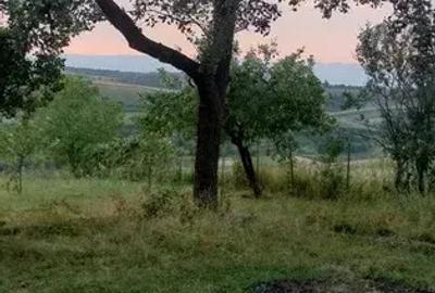 Casa in Comuna Forau Jud Bihor - 8