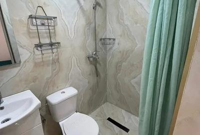 Garsonieră semidecomandată în Gorjului - 2
