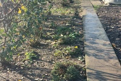 Vand casa loc.Platonesti, Jud.Ialomita - 9