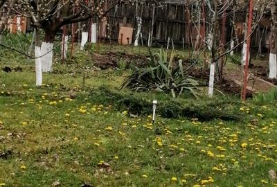 Casă individuală cu 3 camere cu Teren 937 Mp în Vlădeni - 16