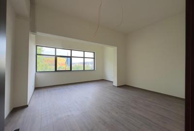 Spatii birouri, showroom, de la 100mp la 220mp, fata Carrefour Felicia - 14