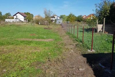 Teren de 10000 mp, în Becicherecu Mic - 1