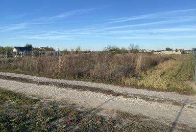 Domnesti, padurea Teghes - 7