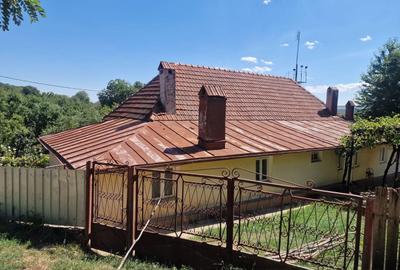 Casă individuală cu 5 camere cu Teren 10426 Mp în Est - 16