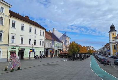 [ Ocazie rară ] Apartament maiestuos, Bd. Eroilor, etaj 1 - 2