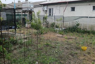 Casă cu 3 camere cu Teren 548 Mp în Sud - 6