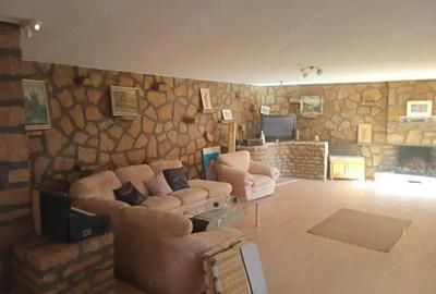 ViLA de LUX cu un DESIGN deosebit in centrul orasului Nadlac - 20