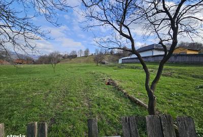 Spațiu comercial, în Coman - 16