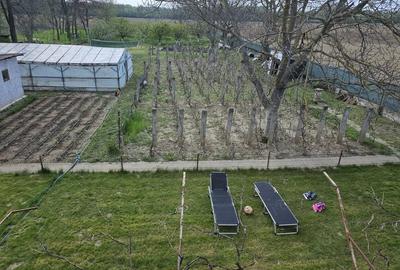 Casă cu 5 camere în Nuci - 5