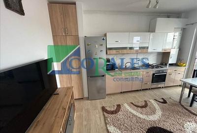 Apartament cu 2 camere semidecomandat, mobilat în Calea Urseni - 6