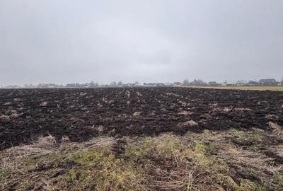 Teren de 3800 mp, în Frătăuții Vechi - 1