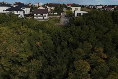 Casa P+1 cu PADURE Valea Lupului-Iasi - 4