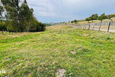 Spațiu comercial, în Central - 6